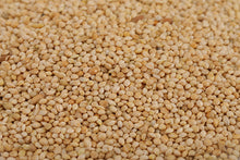 Load image into Gallery viewer, SitCush ergonomic meditation cushion